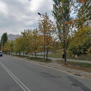 Irpinska Street, 76, Kyiv: photo