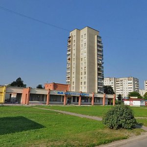 Shyroka vulytsia, 68А, Lviv: photo