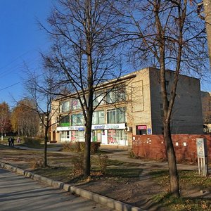 Novosyolov Street, 5, Ryazan: photo