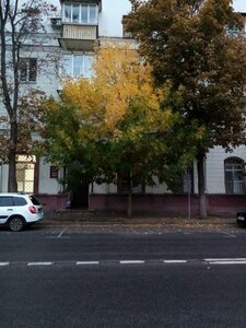 Chaykovskogo Street, 8, Voronezh: photo