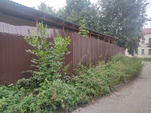 Podbelskogo Street, 20 ، : صورة