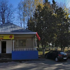 Звенигород, Улица Лермонтова, 6: фото