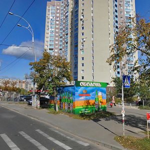 Pravdy Avenue, 19А, Kyiv: photo