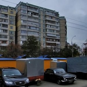Chornobylska Street, No:18, Kiev: Fotoğraflar