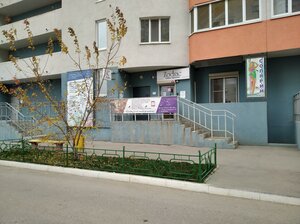 Michurina Street, 149, Samara: photo