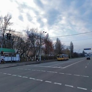 Svitlytskoho Street, 31/7, Kyiv: photo
