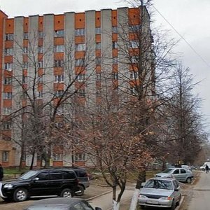 Puzakova Street, 20, Tula: photo