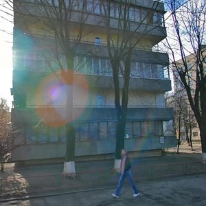 Otto Shmidta Street, 35-37, Kyiv: photo