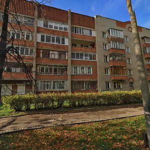 Zelinskogo Street, 4, Yaroslavl: photo