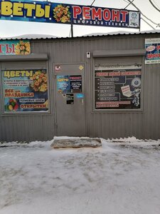 Prospekt Mendeleyeva, 13А, Omsk: photo