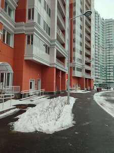 Санкт‑Петербург, Улица Кустодиева, 5к1: фото