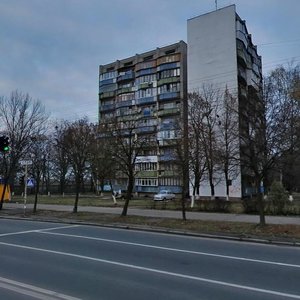 Ivana Vyhovskoho Street, 26, Kyiv: photo