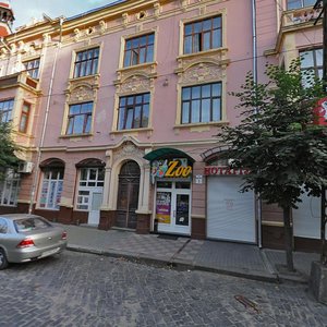 Vulytsia Mitskevycha, 1, Chernivtsi: photo