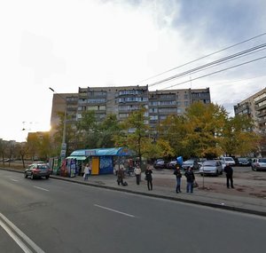 Heroiv Stalinhrada Avenue, 59, Kyiv: photo