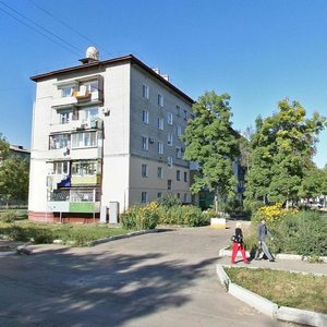 Pionerskaya Street, 51, Birobidgan: photo