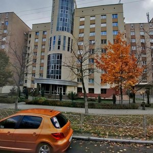 Holosiivska Street, 7к2, Kyiv: photo