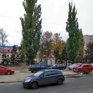 Vasylkivska Street, 17, Kyiv: photo