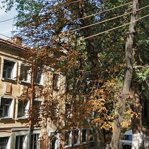 Tverskyi Blind Alley, 9, Kyiv: photo