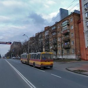 Danyla Scherbakivskoho Street, 44, Kyiv: photo