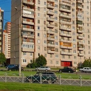 Санкт‑Петербург, Стародеревенская улица, 29: фото