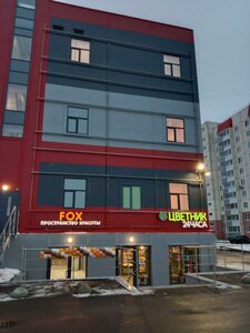 Onezhskaya Street, 5 ، سانت بطرسبرغ ومقاطعة لينينغراد: صورة