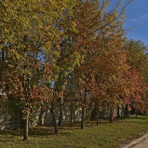Babushkina Street, 32А, Minsk: photo