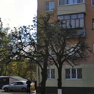 Kosmonavta A.G. Nikolaeva Street, 1, Cheboksary: photo