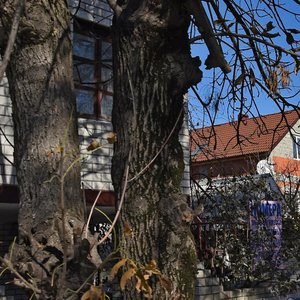 Анапа, Улица Горького, 49: фото
