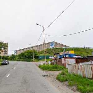 Dobrovolskogo Street, 20, : foto