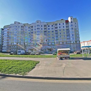 Napalieona Ordy Street, 35, Minsk: photo