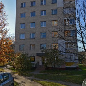 Kalcova Street, 21, Minsk: photo