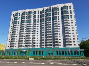 Nizhne-Kamenskaya Street, 26 ، سان بطرسبرغ: صورة