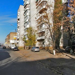 Mezhihirska Street, 50, Kyiv: photo