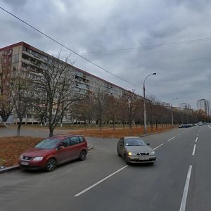 Koltsova Boulevard, 17, Kyiv: photo