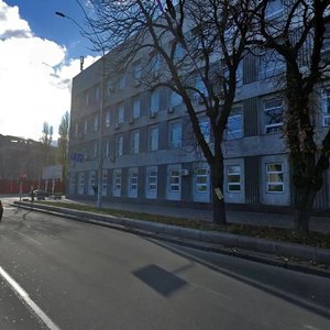 Volodymyrska Street, 56, Kyiv: photo