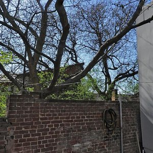 Львов, Улица Богдана Хмельницкого, 30: фото