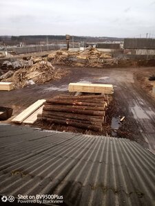 Смоленская область, Речная улица, 1А: фото