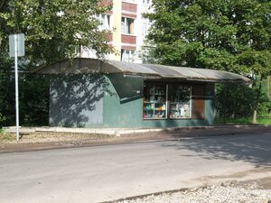 Saymenskoye shosse, 29, Vyborg: photo