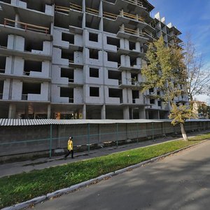 Yanusha Korchaka Street, No:27, Kiev: Fotoğraflar