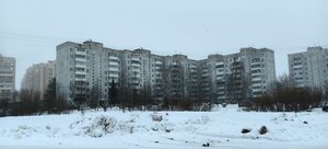 Смоленск, Улица Николаева, 77: фото