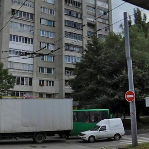 Vulytsia Kniahyni Olhy, 65 ، لفيف: صورة