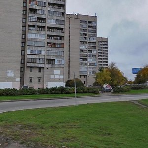 Marshala Zhukova Avenue, 20, Saint Petersburg: photo