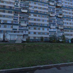 17th Complex, 1 ، نابريجني تشيلني: صورة