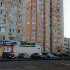 Yamasheva Avenue, 67, Kazan: photo