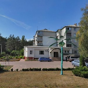 Sviato-Pokrovska vulytsia, 3, Irpin: photo