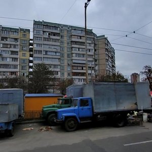 Chornobylska Street, 18, Kyiv: photo