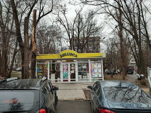 Кишинев, Улица Мирон Костин, 24: фото