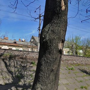 Vulytsia Dolynskoho, No:2А, Lviv: Fotoğraflar