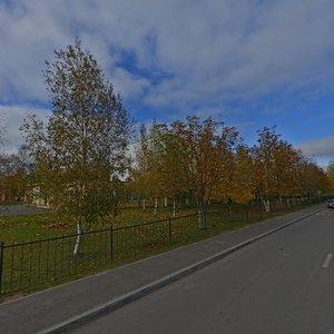 Витебск, Улица Лазо, 113В: фото