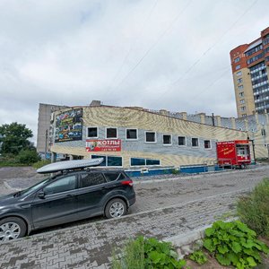 Архангельск, Северодвинская улица, 29: фото